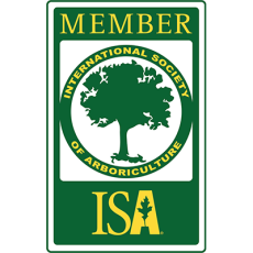 isa-member-logo